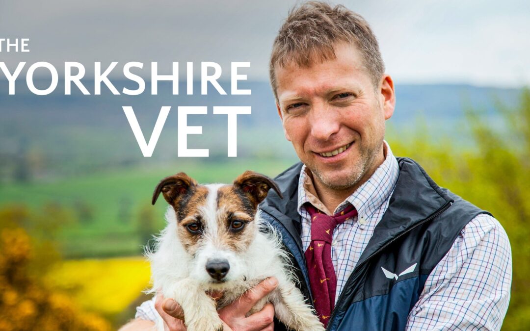 The Yorkshire Vet